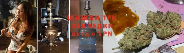 твердый Новозыбков