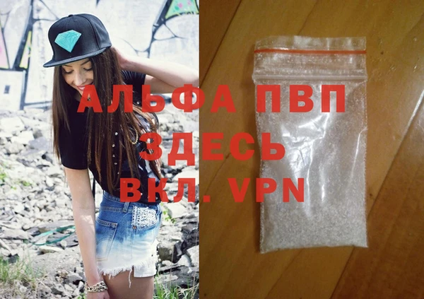 Альфа ПВП Новодвинск
