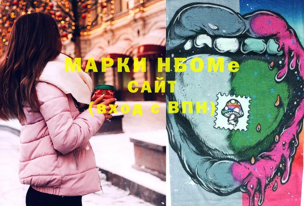 твердый Новозыбков