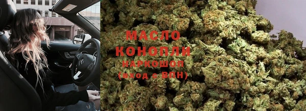 твердый Новозыбков