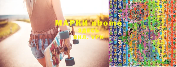 твердый Новозыбков
