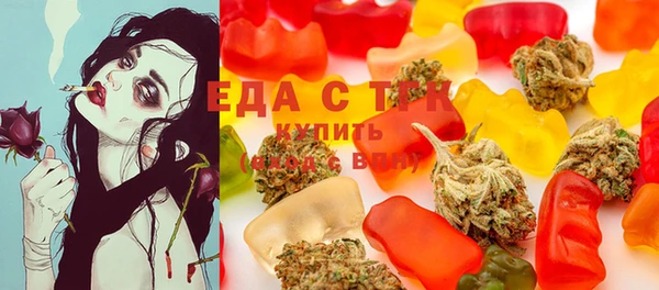 твердый Новозыбков