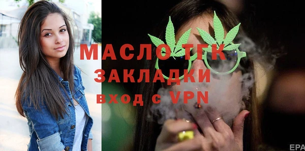 твердый Новозыбков